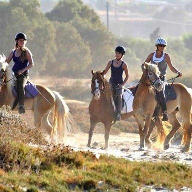 Horse riding tours