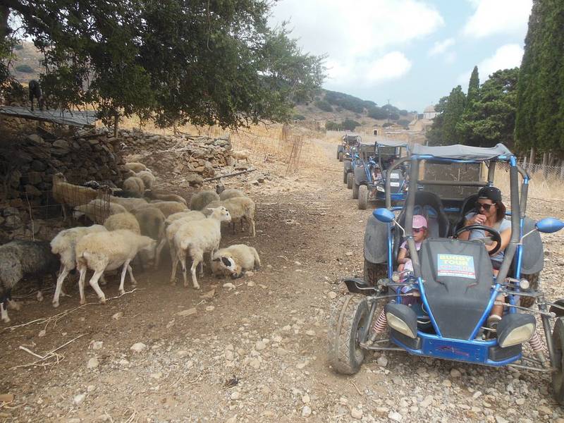 buggy-safari-for-all