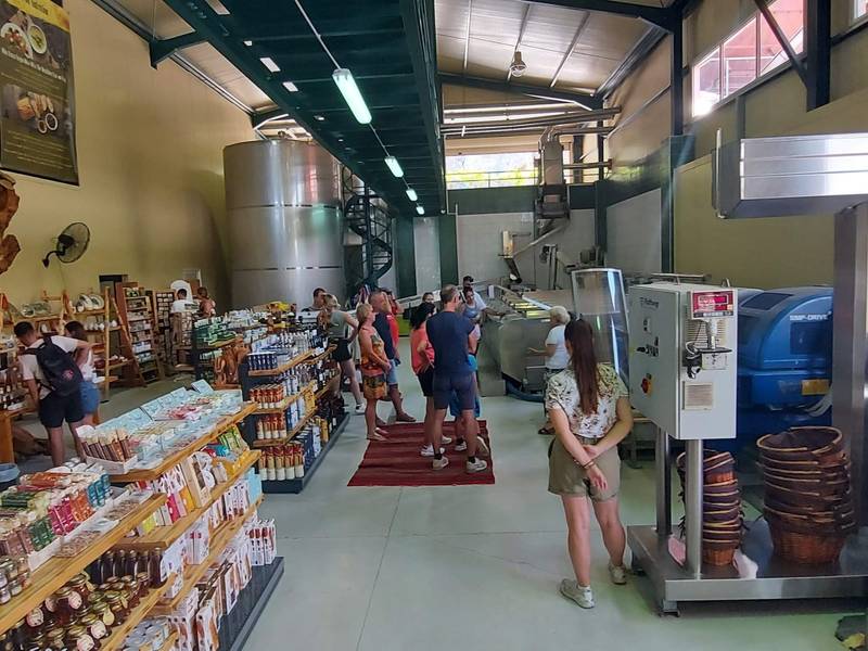 olive oil factory tour